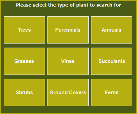 Plant Search
